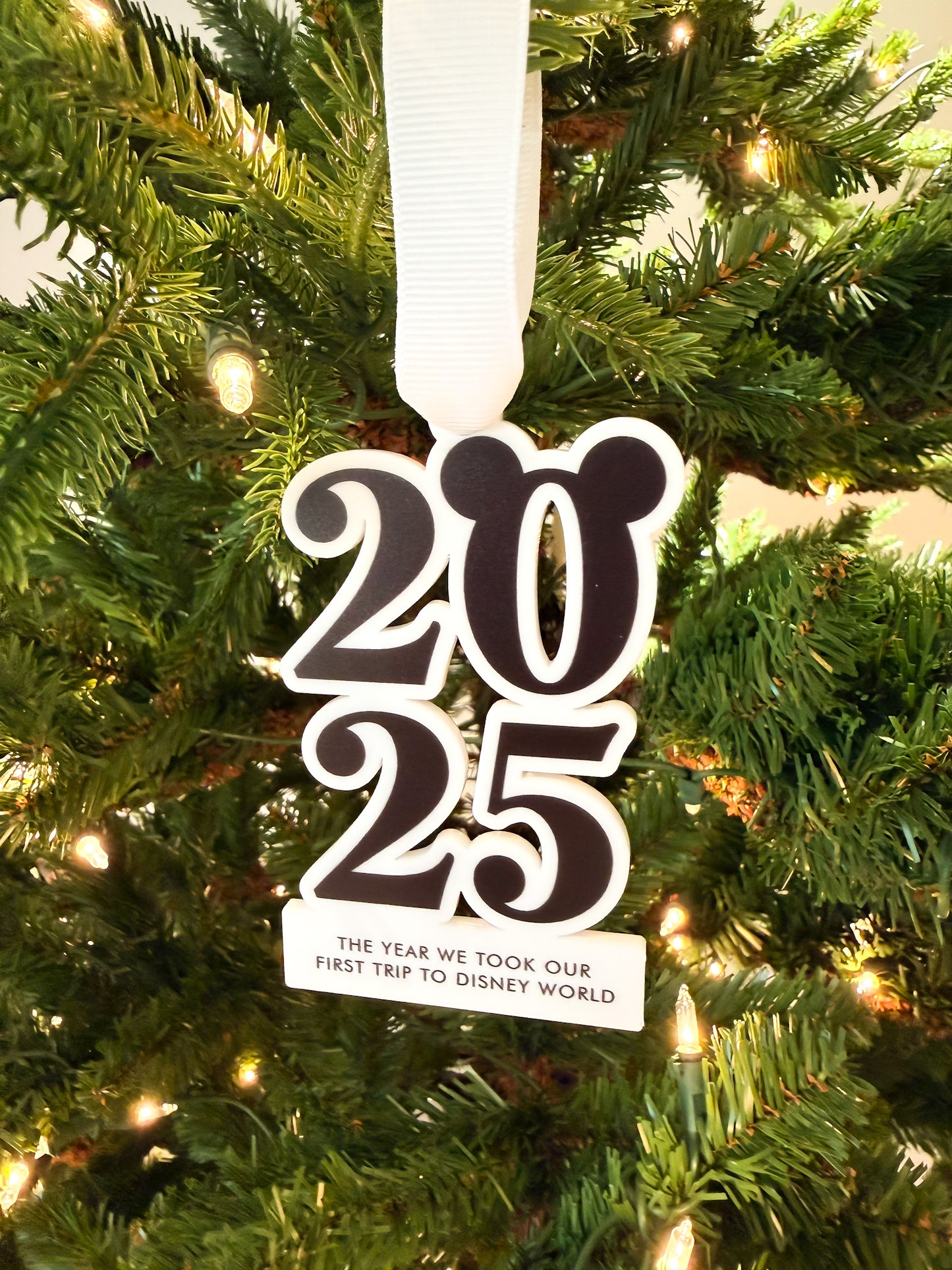 2025 Trip Ornament